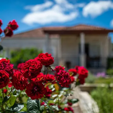 Sunny House Appartamento *