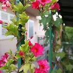 Sunny House *