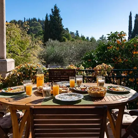 Sunny House Apartment