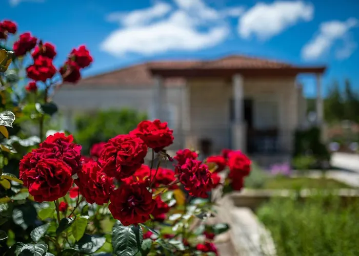 Sunny House Apartman *